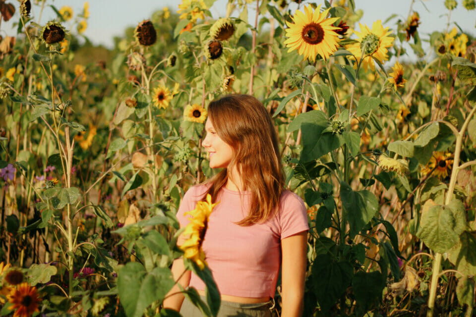 Jana Lehr Sonnenblumen